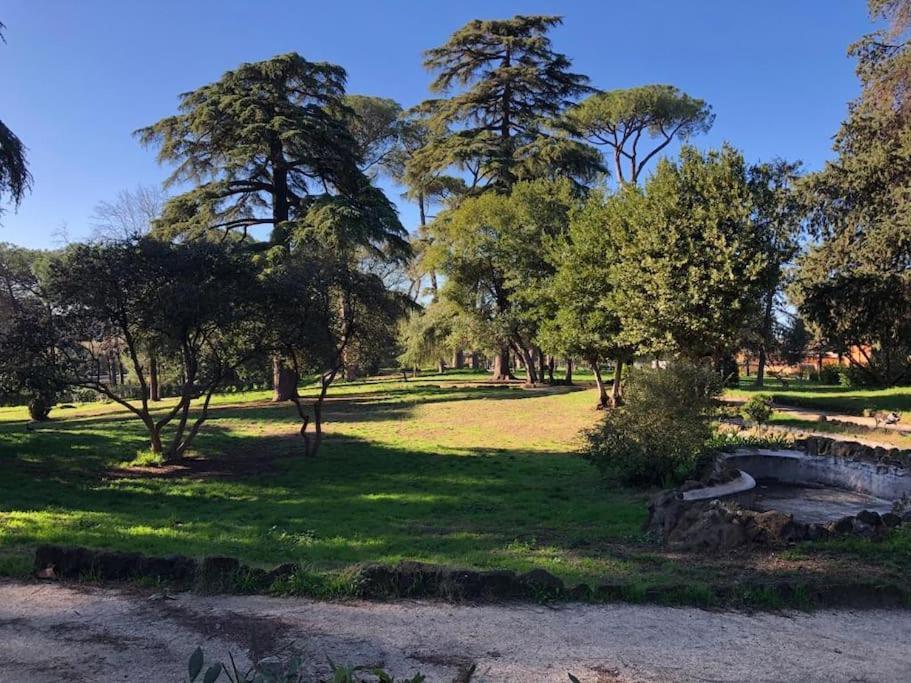 Quiet & Cosy Colosseum روما المظهر الخارجي الصورة